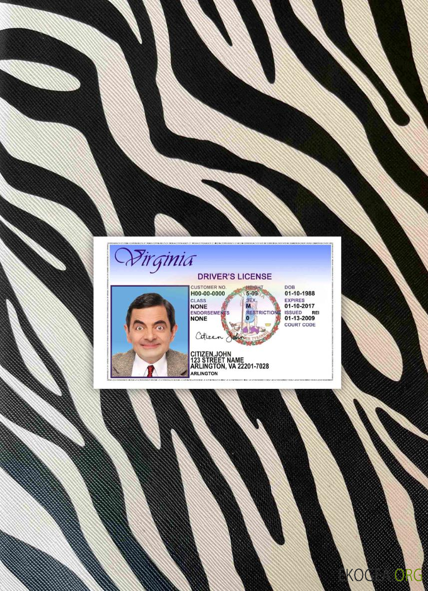 USA Virgina DL version 2 photolook AVANT